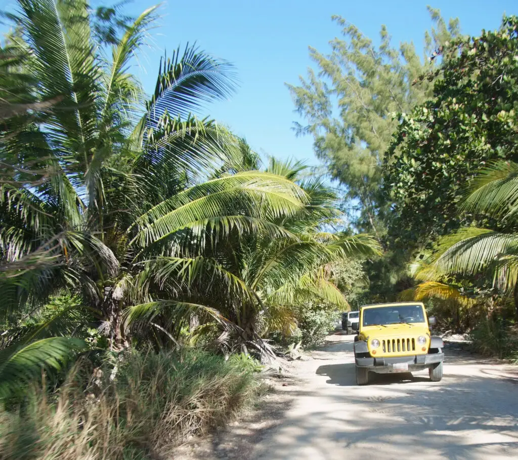 yellow car